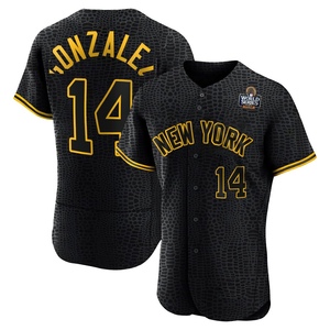 Men's Marwin Gonzalez New York Yankees Authentic Black Snake Skin City 2024 World Series Jersey